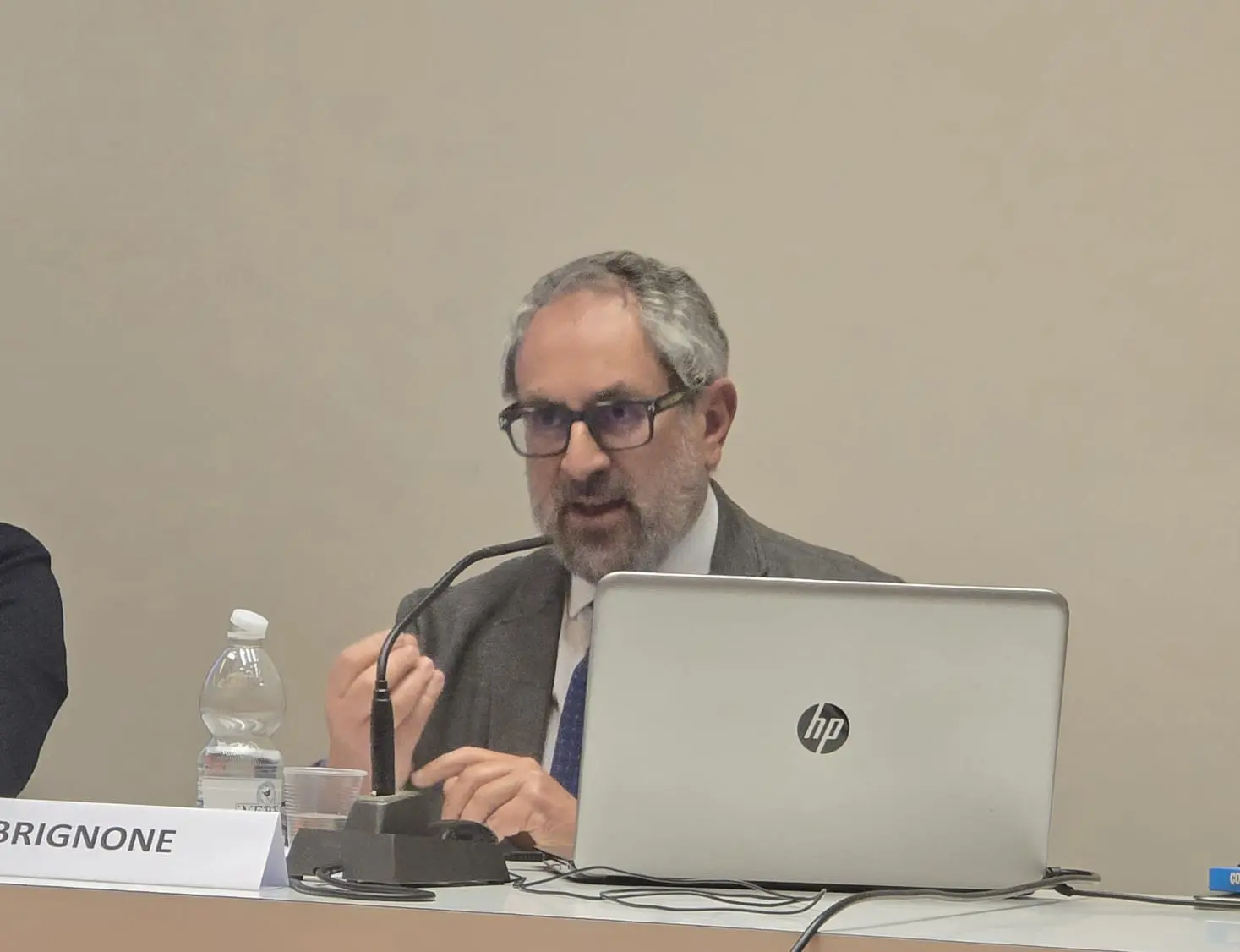 Il professor Alessandro Brignone