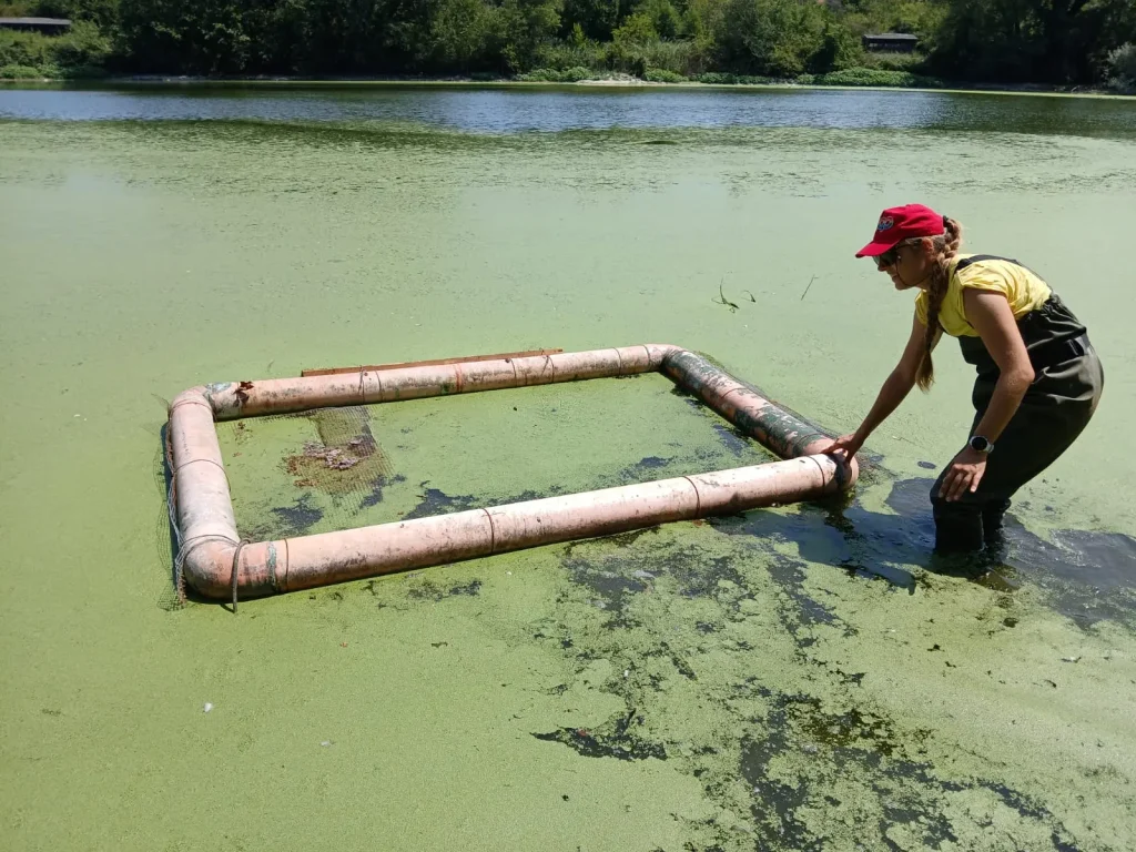 Noemi Pollonara, erpetologa naturalista discipline STEM